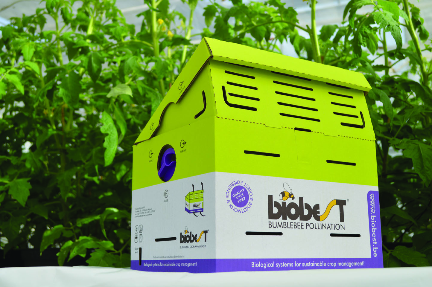 Biobest001LR